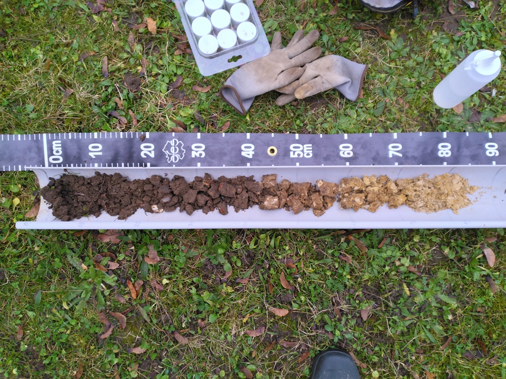 calcosol