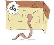 dessin de vers de terre réfléchissant