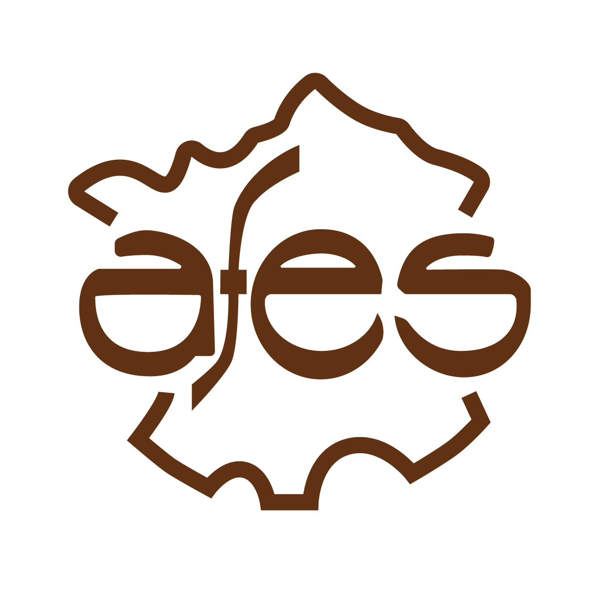 logo AFES