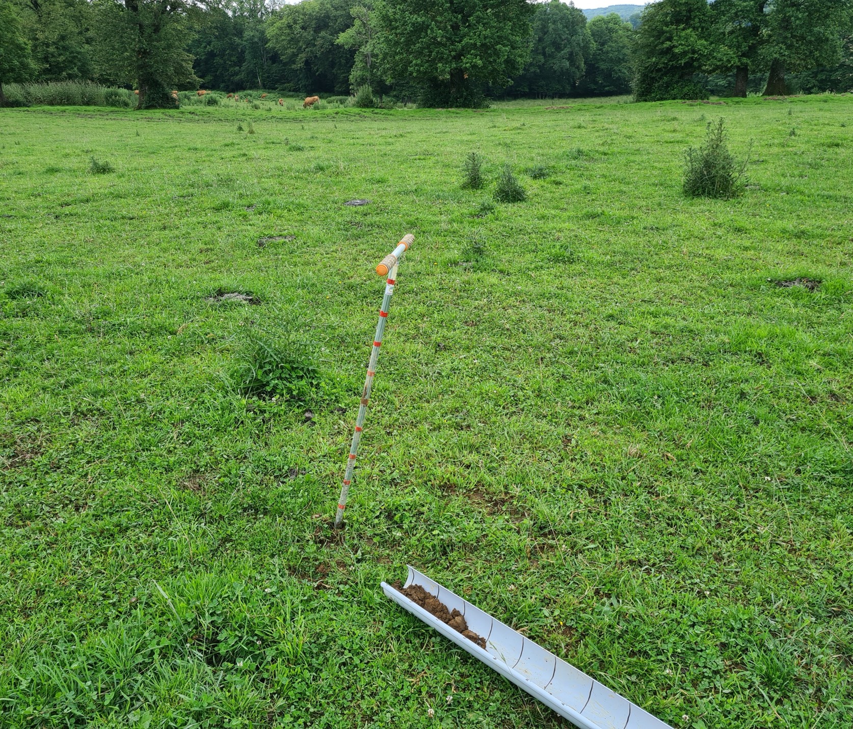 photo de tarière pédologique